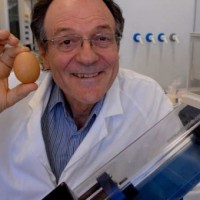 عالم استرالي يخترع جهازًا يعيد البيض المسلوق نيئًا