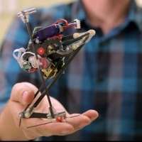 بالفيديو: باحثون يطورون روبوتاً صغيراً يقفز 1.75 متر في الثانية