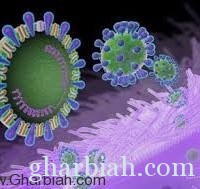 كيف وصل فيروس كورونا إلى جدة؟