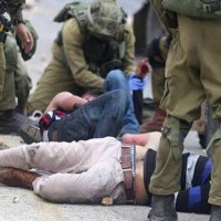 إستشهاد 23 فلسطينيًا بسلاح قوات الإحتلال الأسبوع الماضي