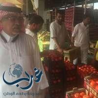 80 طن من الطماطم التركية تسهم في استقرار أسعار أسواق الخضروات في رمضان*
