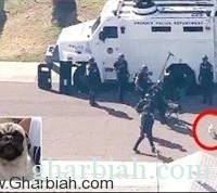 كلب يهاجم قوات الشرطة لحظة محاولة القبض على مسلح!  "فيديو + صور"
