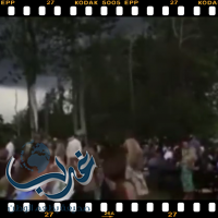 بالفيديو: سقوط شجرة على عروسين أثناء زفافهما