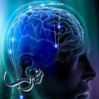 علماء :يطوَّرون وسيلة فعالة لتحسين الذاكرة بالتحفيز الكهربائي للدماغ