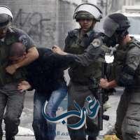 القوات الإسرائيلية تعتقل 12 فلسطينيًا من القدس