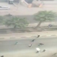 إطلاق النار على 40 سائحا أمام فندق بالهرم