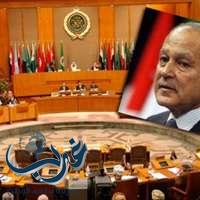 أبو الغيط يؤكد أهمية التمسك بحل الدولتين للقضية الفلسطينية