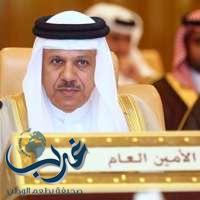 الزياني يلتقي مدير برنامج الخليج العربي للتنمية