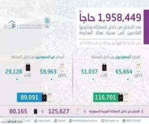 " الإحصاء ": الإعلان النهائي لأعداد الحجاج بعد مغيب شمس يوم عرفة