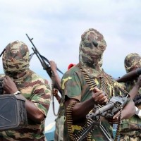 الجيش النيجيري يقتل 58 مسلحاً من عناصر 'بوكو حرام' المتشددة