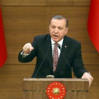 إردوغان: على تركيا دراسة تجريد داعمي الإرهاب من الجنسية