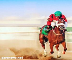 انطلاق موسم سباقات الخيل لميدان الفروسية بمحافظة جدة