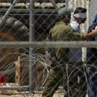 إحصائيات: 7000 معتقل فلسطيني في السجون الإسرائيلية بينهم أطفال ونساء