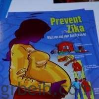 1.65 مليون امرأة في عمر الإنجاب عرضة للإصابة بفيروس زيكا بأمريكا
