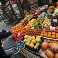 روسيا توقف استيراد الفاكهة والخضروات من مصر