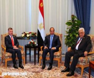 مصر تستضيف قمة عاجلة بخصوص قضية فلسطين