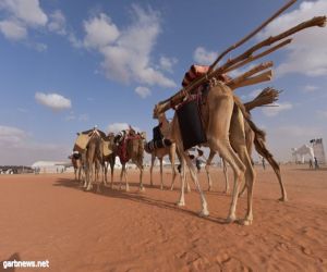 "لطَّامة" و"الحاكمة" تتوّجان بفرديات "جل الصفر والشعل"