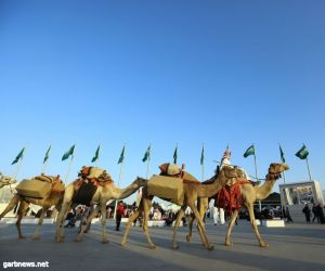 الإبل في "لغة الضاد": مُلهمة الشعراء .. وعزّ العرب في الأفراح والأتراح