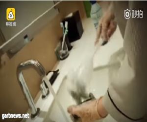 بالفيديو: كاميرا توثق عاملة نظافة وهي تنظف الأطباق بواسطة فرشاة المرحاض