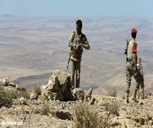 قوات الجيش اليمنى تتقدم جنوب محافظة الحديدة غربي اليمن