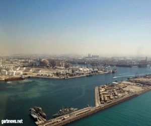 الإمارات: جيبوتي تسببت في صدمة لاستثمارنا