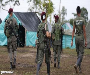 كولومبيا: جماعة مسلحة تعلن وقف هجماتها احتراما للانتخابات في بلادها