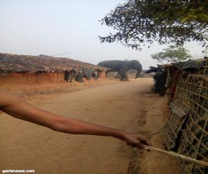 مفوض الامم المتحدة يطلق مشروعاً لمنع حوادث الفيله