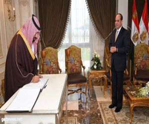 تعليق ولي العهد على "صفقة" شراء السعودية 1000 كيلو متر من أراضي سيناء