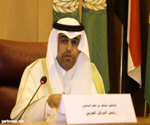 البرلمان العربي يؤكد التصدي للمخططات الإسرائيلية بإفريقيا ومجلس الأمن الدولي