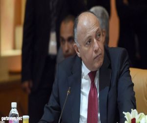 الخارجية المصرية لوفد أمريكي: على قطر تنفيذ مطالب دول المقاطعة الـ13
