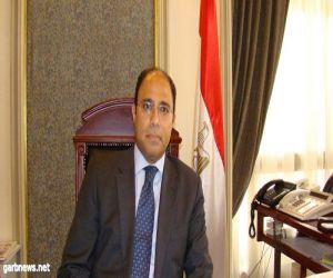 الخارجية المصرية : يجب تحصين العلاقات المصرية السودانية أمام أي شوائب