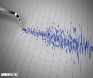 زلزال بقوة 4.6 درجة يضرب شمال إيران