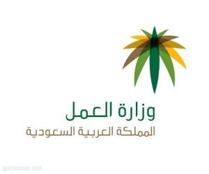 فرع وزارة العمل بالقصيم تطبق قرار قصر العمل في منافذ تأجير السيارات على السعوديين