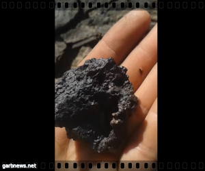 العثور على أحجار كريمة وبقايا هياكل الديناصورات " جنوب المغرب "  (شاهد الفيديو)