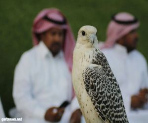 نائب امير منطقة المدينة المنورة يدشن فعاليات المهرجان السياحي بالعيص