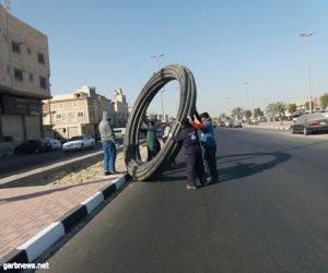 بلدية القطيف تبدأ بزراعة شارع عمار بن ياسر